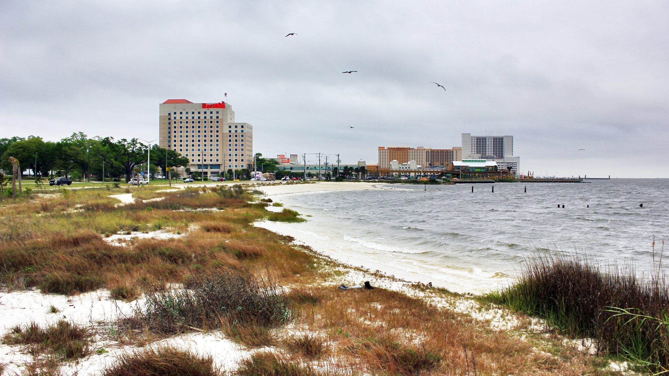 Local digital marketing agency serving Biloxi MS, Magnolia Digital