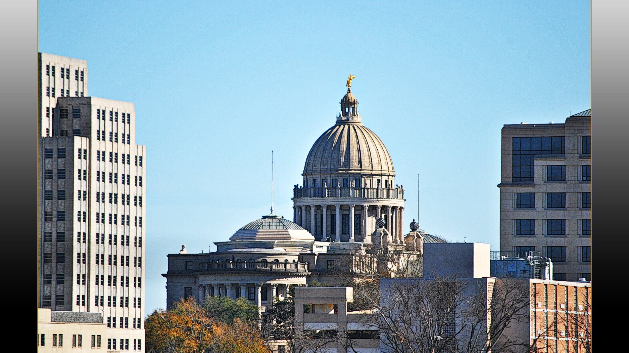 Local digital marketing agency serving Jackson MS, Magnolia Digital