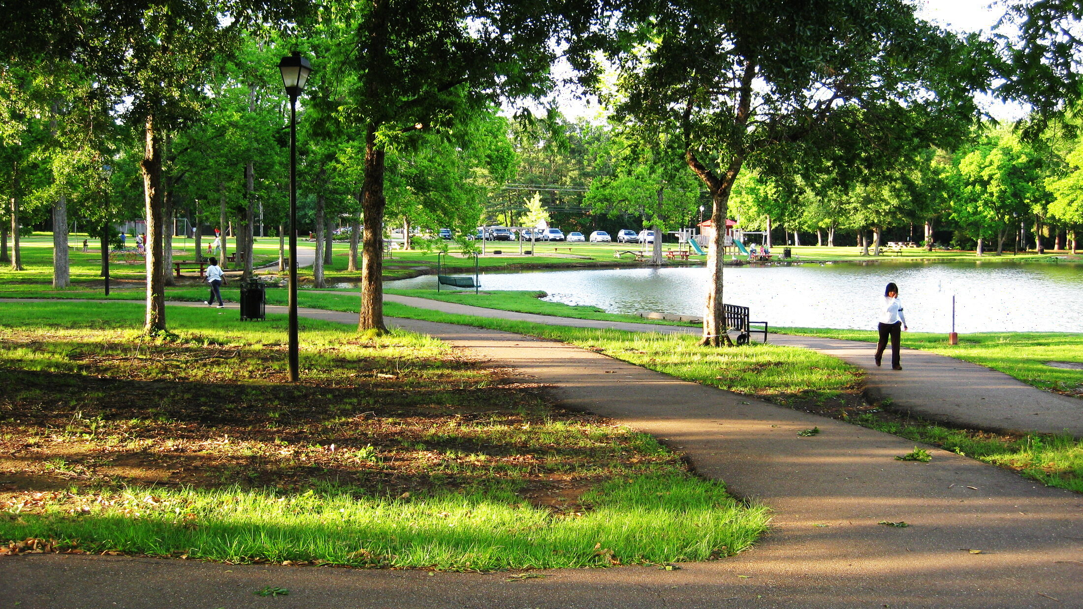 Local digital marketing agency serving Madison MS, Magnolia Digital