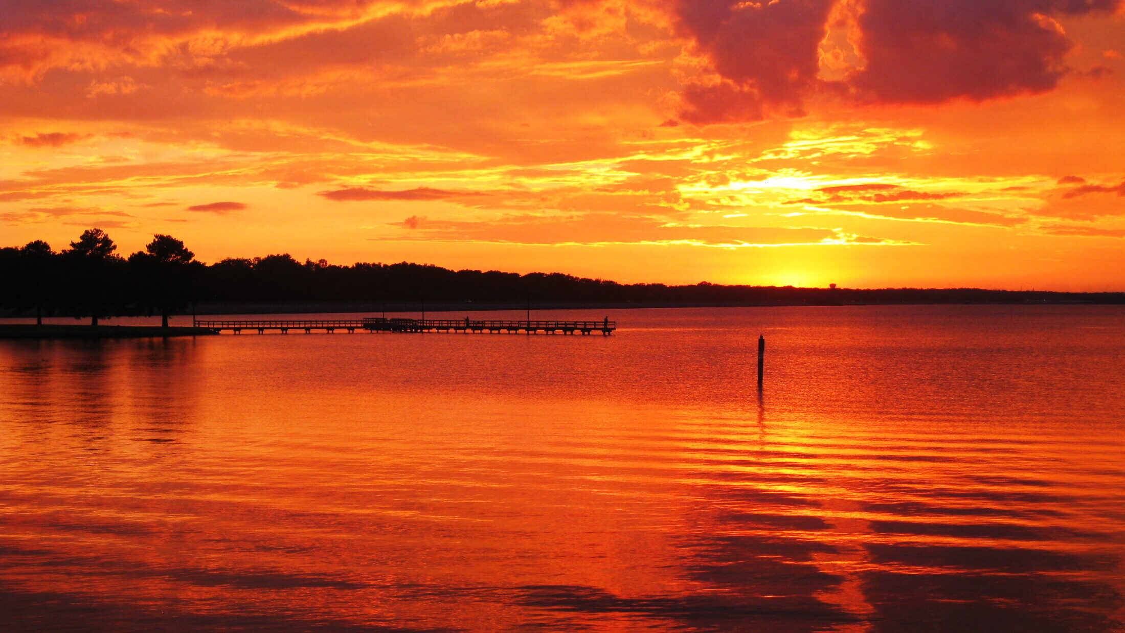 Local digital marketing agency serving Ridgeland MS, Magnolia Digital